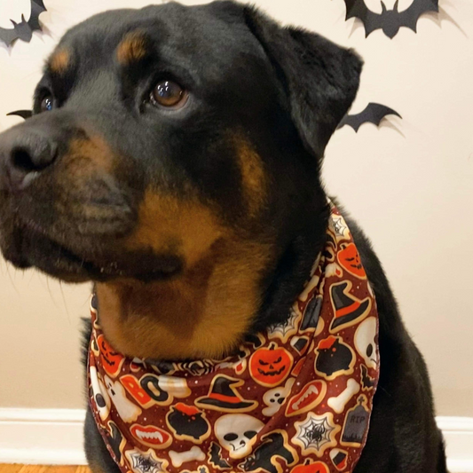 Spooky Soiree Bandana