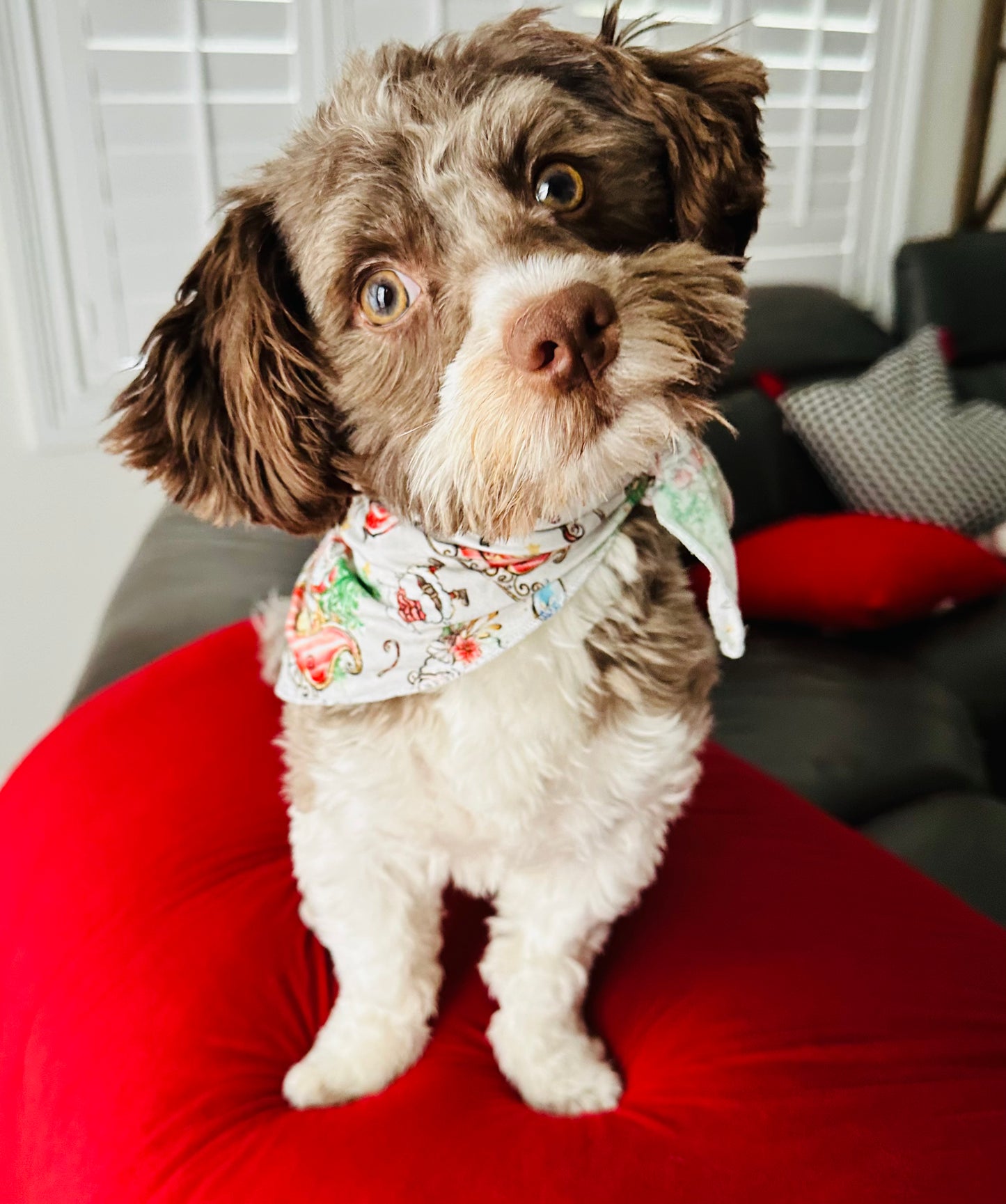 Sleigh All Day Dog Bandana